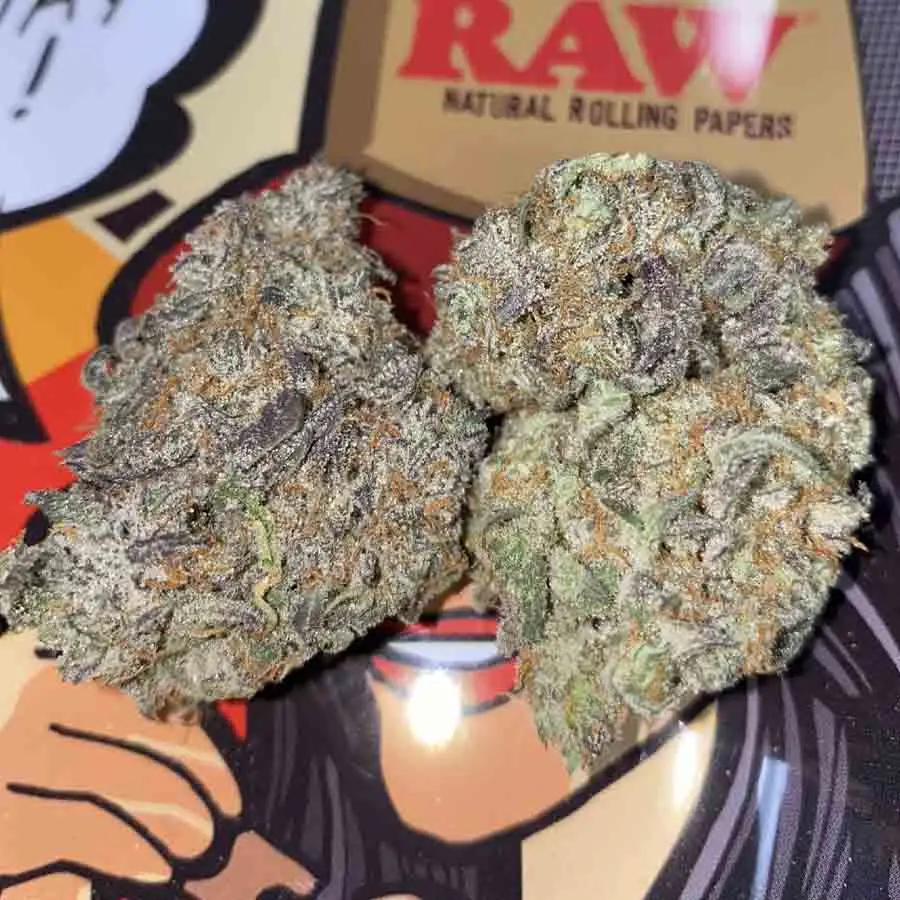 Buy weed online Romania, Buy alice in wonderland online Bucharest, Best sativa strains for sale Cluj-Napoca, Buy THC cannabis in Constanța,Lasi,Timișoara