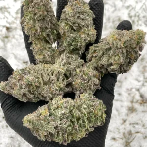 Buy weed online Paris France, Buy aurora indica cannabis strain online Monaco, Buy marijuana online Nantes, Marseille,Toulouse, Bordeaux, Lille, Lyon