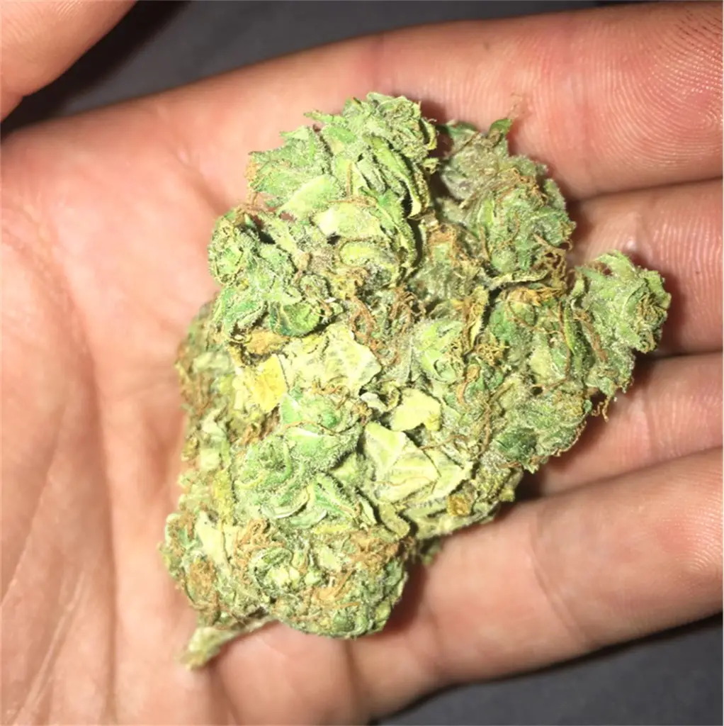 Buy banana kush cannabis online Germany, Weed local delivery Berlin, Where to buy weed online Leipzig, Cannabis supplier in Hamburg, Koln, Hannover, Munich