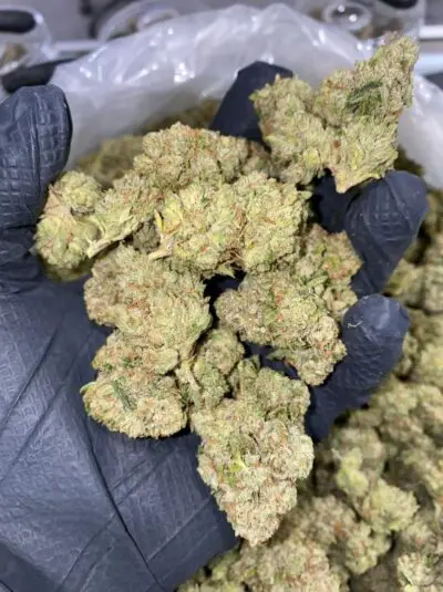Buy bruce banner online weed strain Northern Ireland, Buy thc weed online Belfast, Cannabis express delivery in Derry, Where to buy marijuana Lisburn